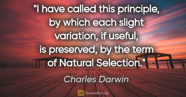 Charles Darwin quote: "I have called this principle, by which each slight variation,..."