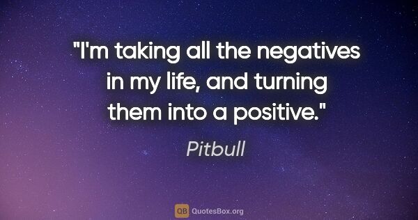 Pitbull quote: "I'm taking all the negatives in my life, and turning them into..."