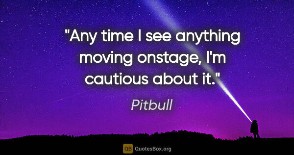 Pitbull quote: "Any time I see anything moving onstage, I'm cautious about it."