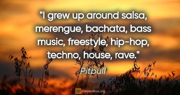 Pitbull quote: "I grew up around salsa, merengue, bachata, bass music,..."
