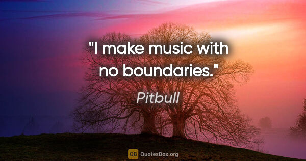 Pitbull quote: "I make music with no boundaries."