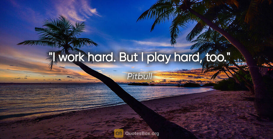 Pitbull quote: "I work hard. But I play hard, too."
