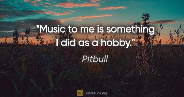 Pitbull quote: "Music to me is something I did as a hobby."