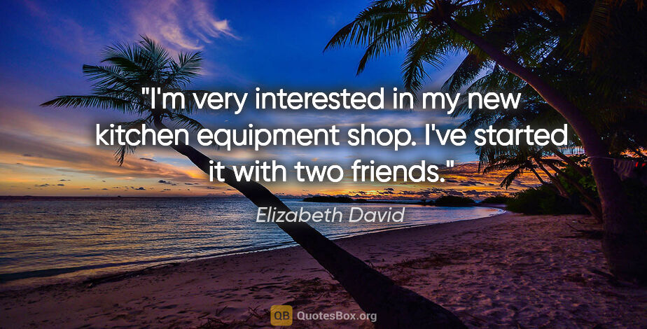 Elizabeth David quote: "I'm very interested in my new kitchen equipment shop. I've..."