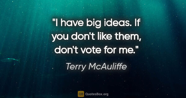 Terry McAuliffe quote: "I have big ideas. If you don't like them, don't vote for me."