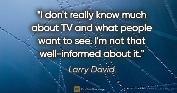 Larry David quote: "I don't really know much about TV and what people want to see...."
