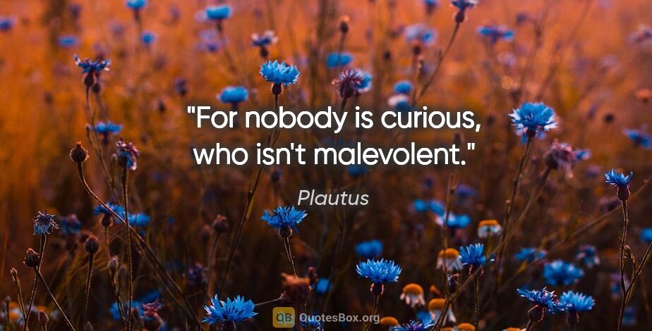 Plautus quote: "For nobody is curious, who isn't malevolent."
