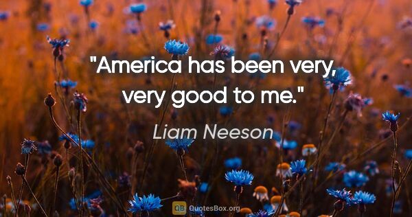 Liam Neeson quote: "America has been very, very good to me."