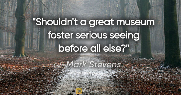 Mark Stevens quote: "Shouldn't a great museum foster serious seeing before all else?"