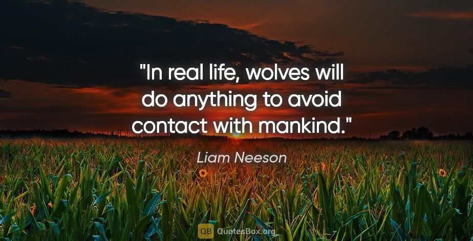 Liam Neeson quote: "In real life, wolves will do anything to avoid contact with..."