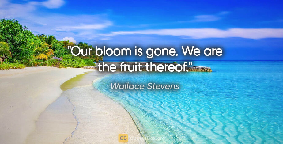 Wallace Stevens quote: "Our bloom is gone. We are the fruit thereof."