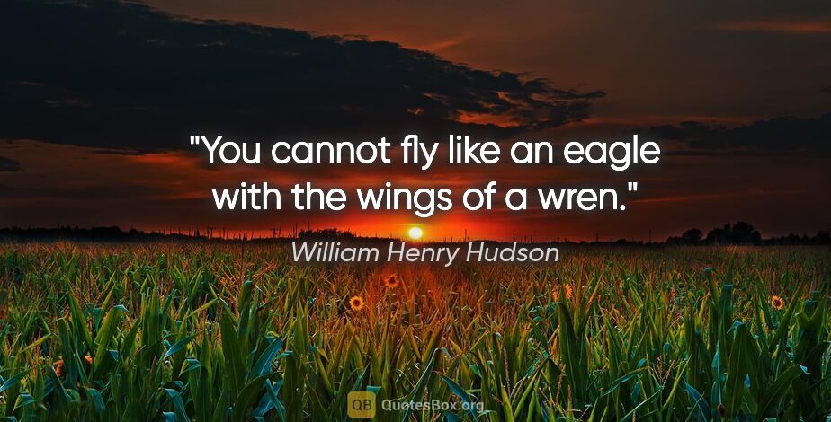William Henry Hudson quote: "You cannot fly like an eagle with the wings of a wren."