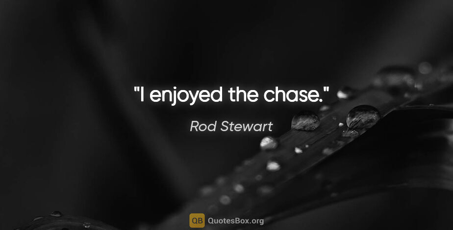 Rod Stewart quote: "I enjoyed the chase."
