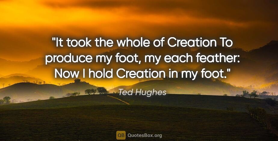 Ted Hughes quote: "It took the whole of Creation To produce my foot, my each..."