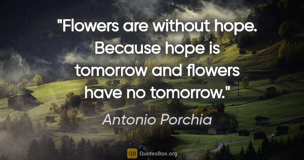 Antonio Porchia quote: "Flowers are without hope. Because hope is tomorrow and flowers..."