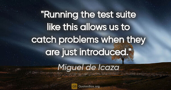 Miguel de Icaza quote: "Running the test suite like this allows us to catch problems..."