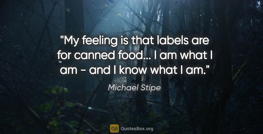 Michael Stipe quote: "My feeling is that labels are for canned food... I am what I..."
