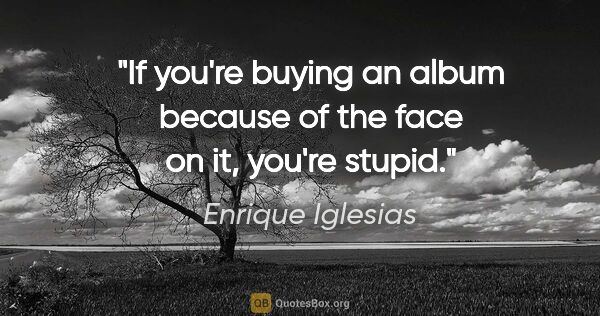 Enrique Iglesias quote: "If you're buying an album because of the face on it, you're..."