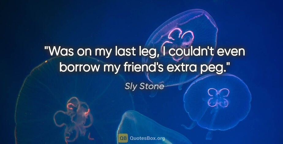 Sly Stone quote: "Was on my last leg, I couldn't even borrow my friend's extra peg."