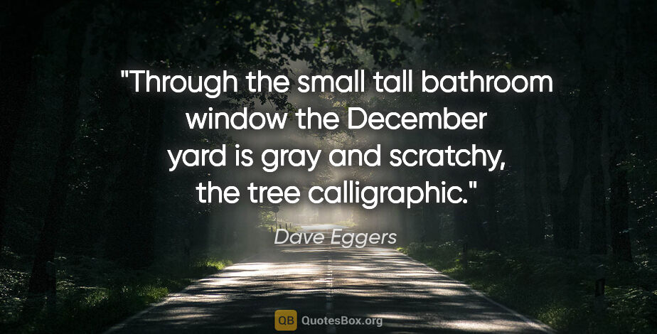 Dave Eggers quote: "Through the small tall bathroom window the December yard is..."
