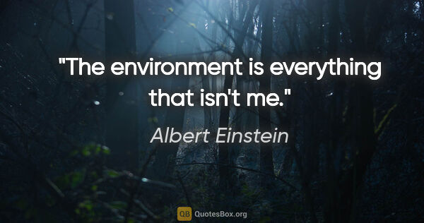 Albert Einstein quote: "The environment is everything that isn't me."