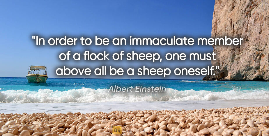Albert Einstein quote: "In order to be an immaculate member of a flock of sheep, one..."