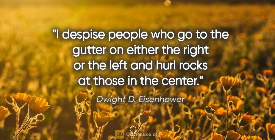 Dwight D. Eisenhower quote: "I despise people who go to the gutter on either the right or..."