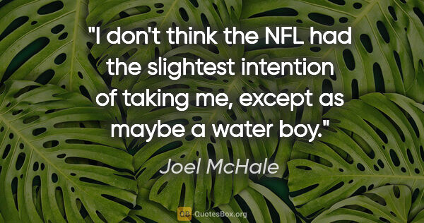 Joel McHale quote: "I don't think the NFL had the slightest intention of taking..."