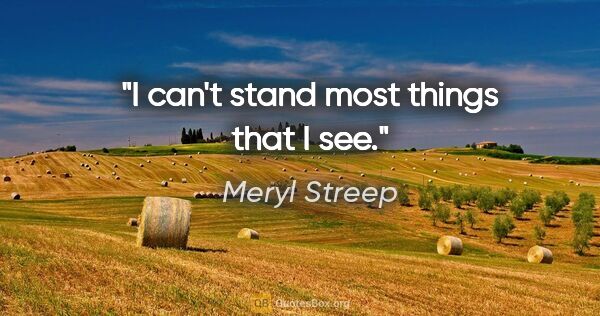 Meryl Streep quote: "I can't stand most things that I see."