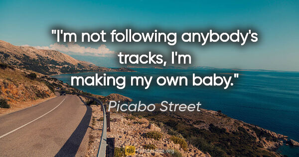 Picabo Street quote: "I'm not following anybody's tracks, I'm making my own baby."