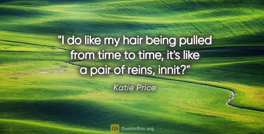 Katie Price quote: "I do like my hair being pulled from time to time, it's like a..."