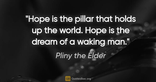 Pliny the Elder quote: "Hope is the pillar that holds up the world. Hope is the dream..."