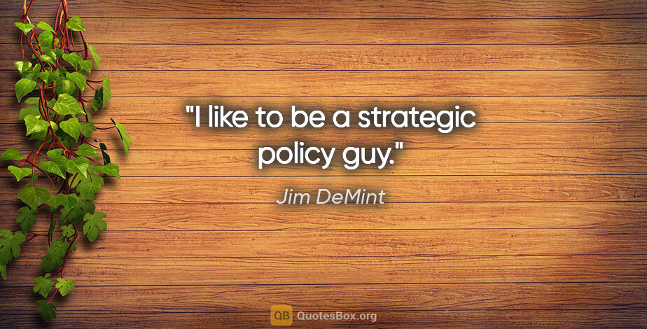 Jim DeMint quote: "I like to be a strategic policy guy."