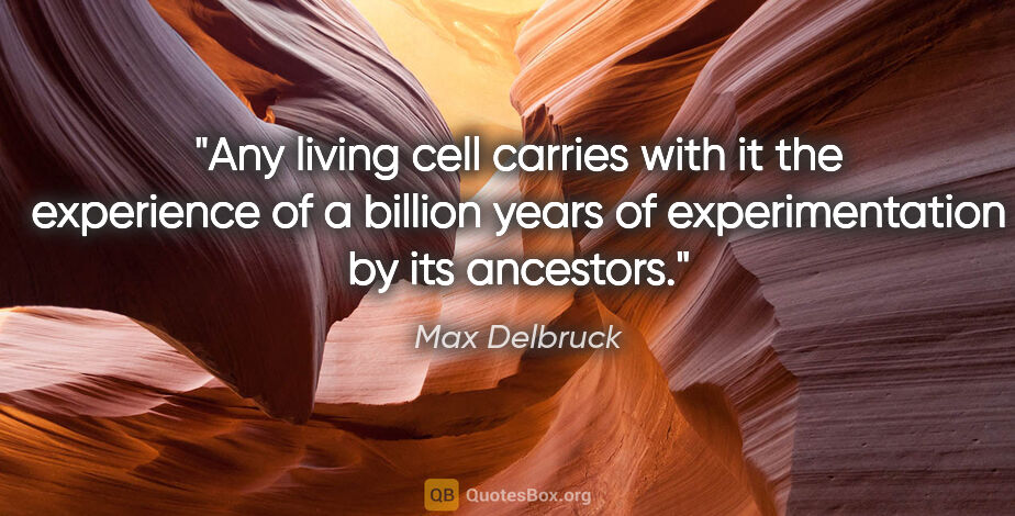 Max Delbruck quote: "Any living cell carries with it the experience of a billion..."