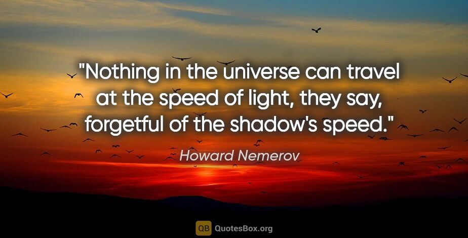 Howard Nemerov quote: "Nothing in the universe can travel at the speed of light, they..."