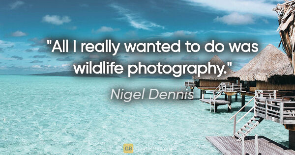 Nigel Dennis quote: "All I really wanted to do was wildlife photography."