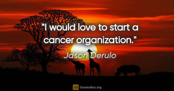 Jason Derulo quote: "I would love to start a cancer organization."