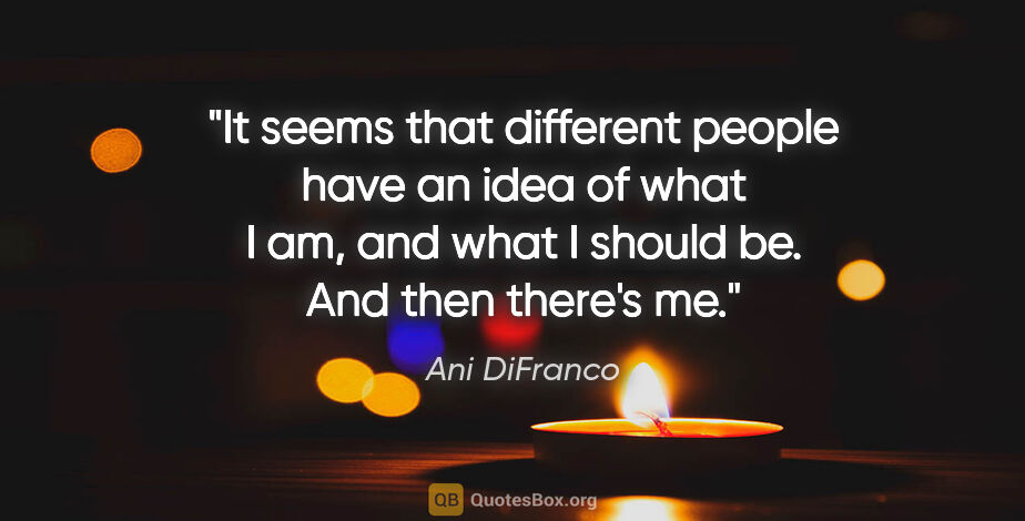Ani DiFranco quote: "It seems that different people have an idea of what I am, and..."