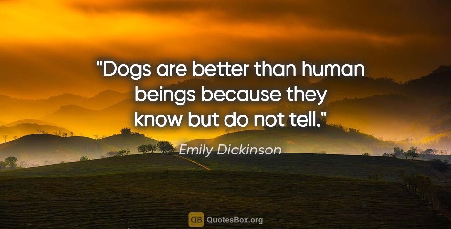 Emily Dickinson quote: "Dogs are better than human beings because they know but do not..."