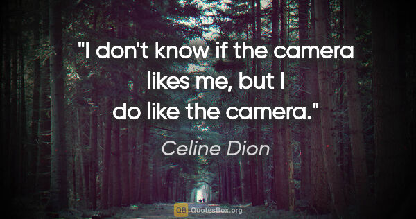 Celine Dion quote: "I don't know if the camera likes me, but I do like the camera."