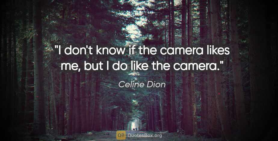 Celine Dion quote: "I don't know if the camera likes me, but I do like the camera."