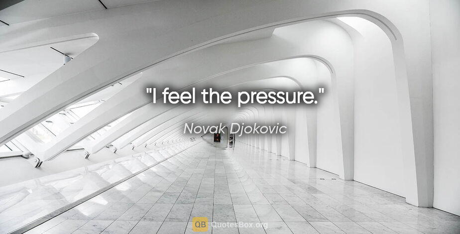 Novak Djokovic quote: "I feel the pressure."