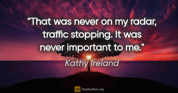 Kathy Ireland quote: "That was never on my radar, traffic stopping. It was never..."