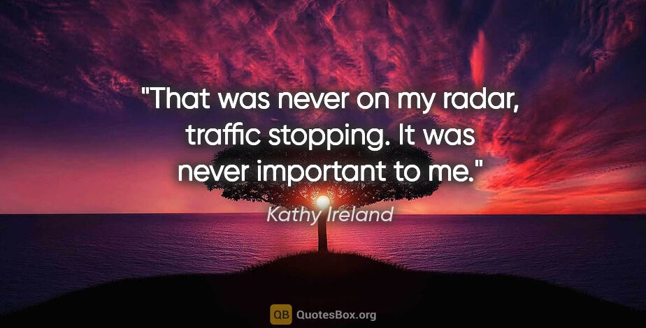 Kathy Ireland quote: "That was never on my radar, traffic stopping. It was never..."