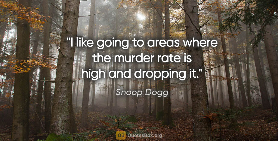 Snoop Dogg quote: "I like going to areas where the murder rate is high and..."