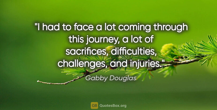 Gabby Douglas quote: "I had to face a lot coming through this journey, a lot of..."