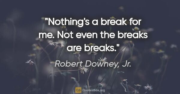 Robert Downey, Jr. quote: "Nothing's a break for me. Not even the breaks are breaks."