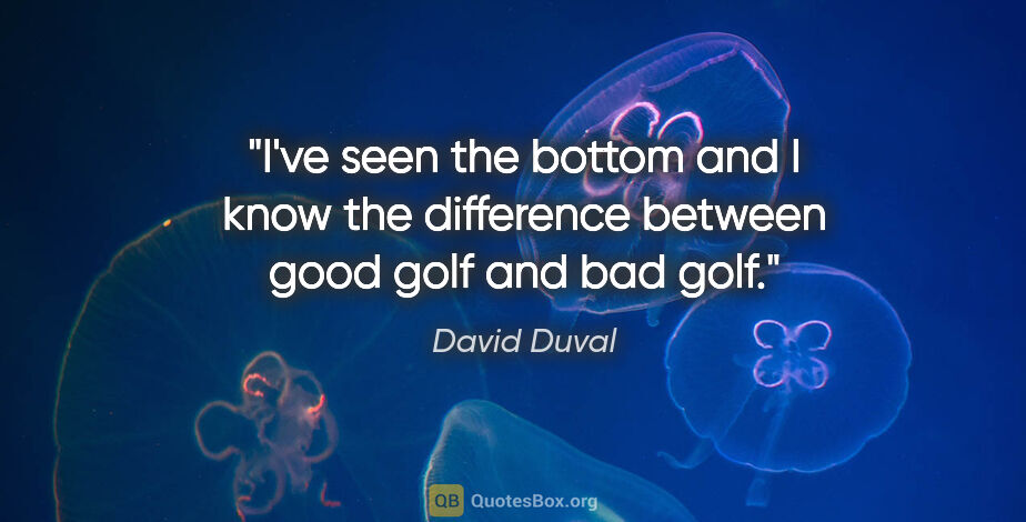 David Duval quote: "I've seen the bottom and I know the difference between good..."