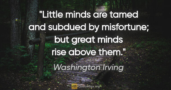 Washington Irving quote: "Little minds are tamed and subdued by misfortune; but great..."