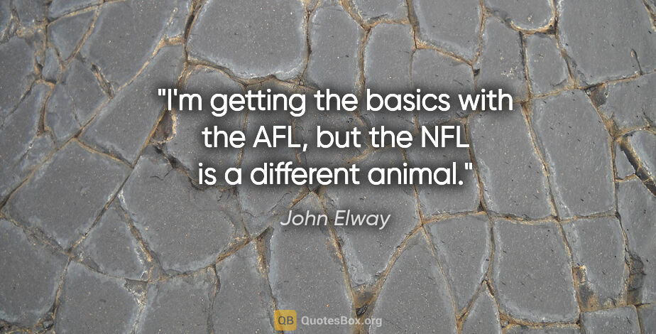 John Elway quote: "I'm getting the basics with the AFL, but the NFL is a..."